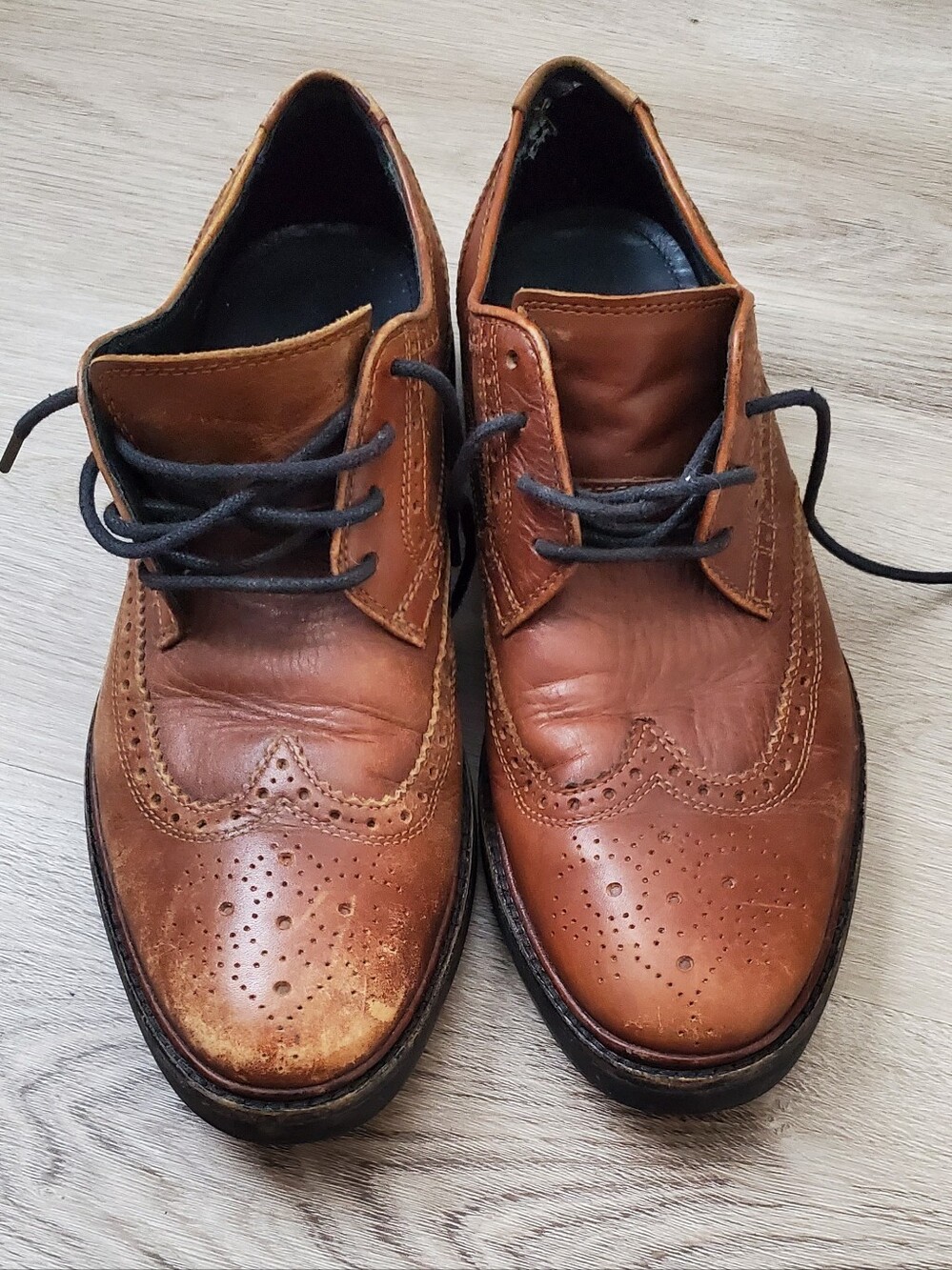 Coach New York Brown Bryant Wingtip Loafer Dress Shoes Oxford Men's US Size 9D